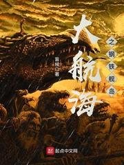 《大航海之钢铁舰岛》