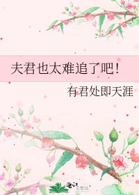 夫君也太难追了吧!